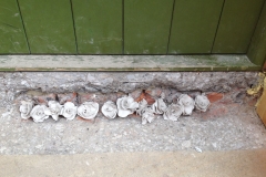 Freedom Festival 2014, Flower for Mandela