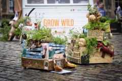 Grow Wild, Anchor Square, Bristol, ©Barbara Evripidou2015