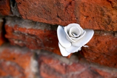 Freedom Festival 2014, Flower of Mandela