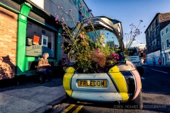 Freedom Festival 2012, Pictured: REGENERATE POLLINATE, SEEDS FOR THE DESERT by Fiona Weir & Adele Howitt