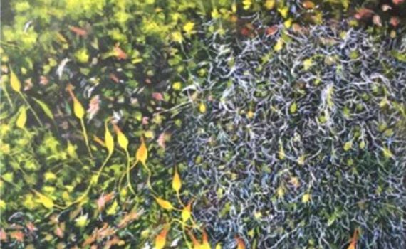 Helen Thomas, Moss Ings Road III acrylic on boards