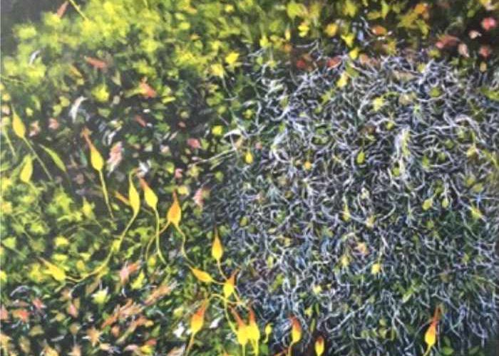 Helen Thomas, Moss Ings Road III acrylic on boards